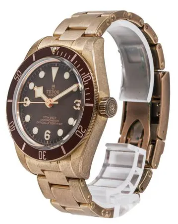 Tudor Black Bay M79012M-0001 39mm Bronze Brown 3