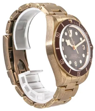 Tudor Black Bay M79012M-0001 39mm Bronze Brown 5