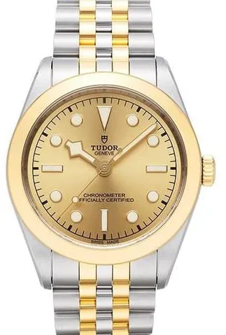 Tudor Black Bay S&G M79663-0005 39mm Yellow gold and Stainless steel Golden