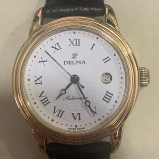 Delma Yellow gold and Stainless steel