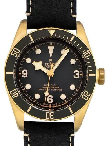 Tudor Black Bay 79250BA-0001 43mm Bronze Gray