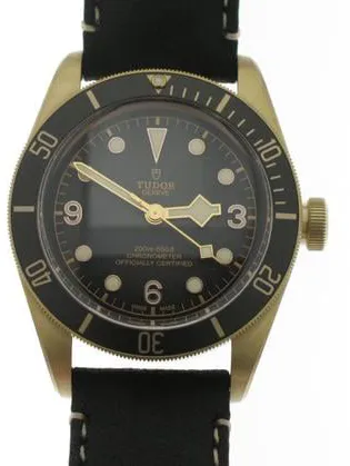 Tudor Black Bay 79250BA-0001 43mm Bronze Gray