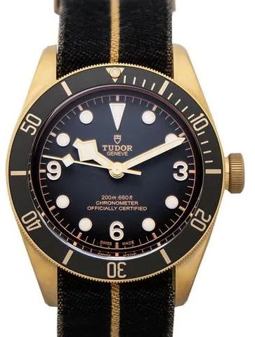 Tudor Black Bay 79250BA-0002 43mm Bronze Gray