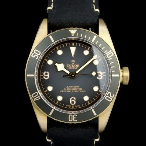 Tudor Black Bay 79250BA 43mm Bronze