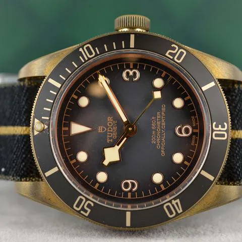 Tudor Black Bay 79250BA 43mm Bronze Gray