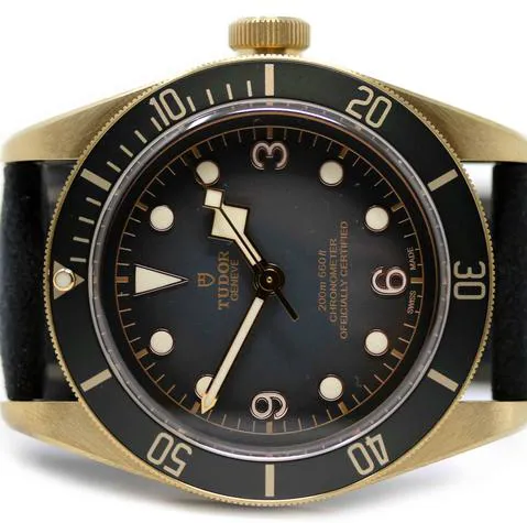 Tudor Black Bay 79250BA 43mm Bronze Gray