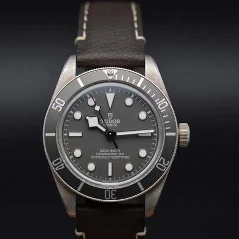 Tudor Black Bay M79010SG-0001 39mm Silver Grey