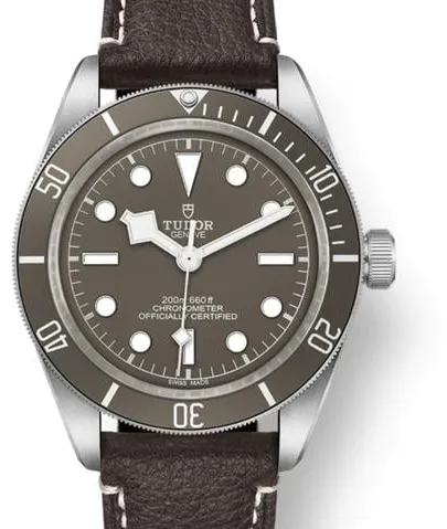 Tudor Black Bay M79010SG-0001 39mm Silver Grey