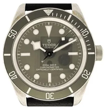 Tudor Black Bay M79010SG-0001 39mm Silver Grey