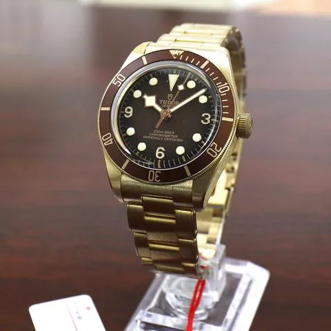 Tudor Black Bay M79012M-0001 39mm Bronze Brown