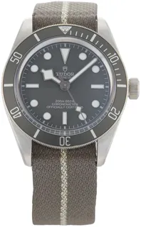 Tudor Black Bay M79010SG-0002 Silver Beige