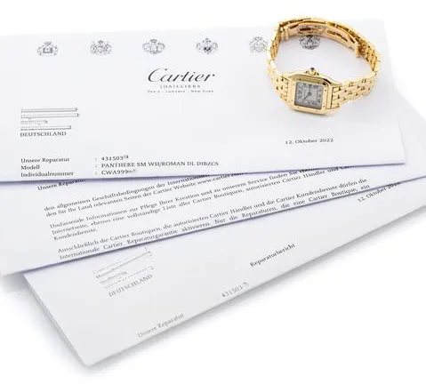 Cartier Panthère 1070 22mm Yellow gold White 5