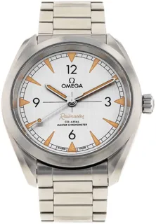 Omega Railmaster 220.10.40.20.06.001 Stainless steel Gray