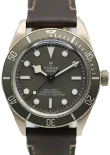 Tudor Black Bay M79010SG-0001 Silver Beige