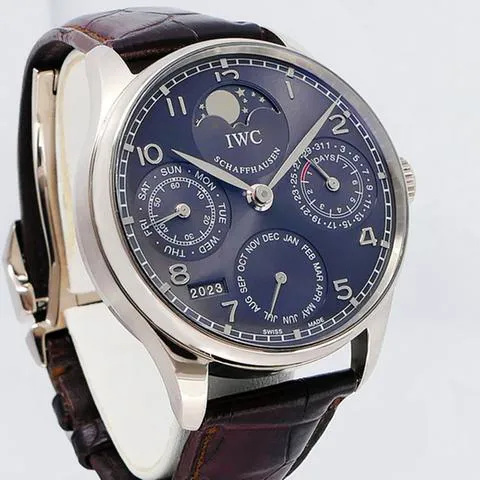 IWC Portugieser IW502218 42.5mm White gold Gray 7