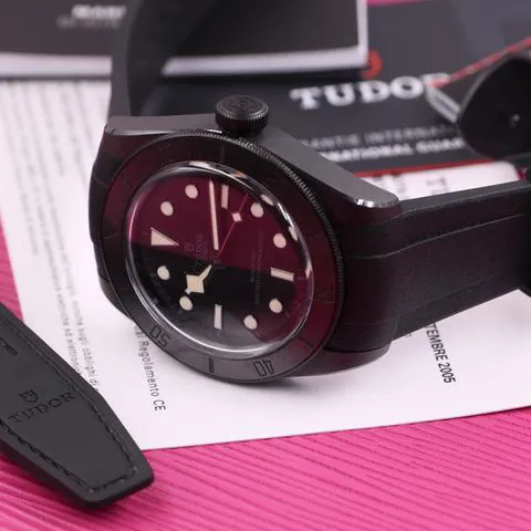 Tudor Black Bay 79210CNU 41mm Ceramic Black 11