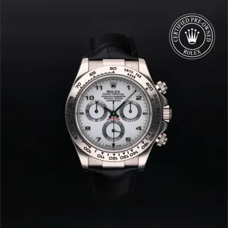 Rolex Daytona 116519 White gold White