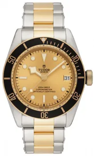 Tudor Black Bay S&G M79733N-0004 Stainless steel