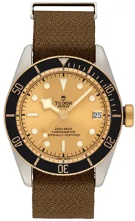 Tudor Black Bay S&G M79733N-0006 Stainless steel Golden