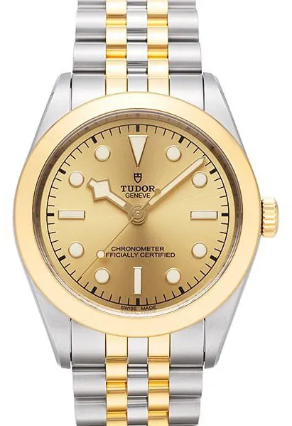 Tudor Black Bay M79663-0005 39mm Yellow gold and Stainless steel Golden