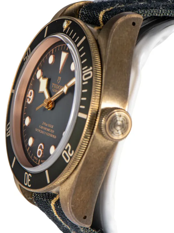 Tudor Black Bay 79250BA 43mm Bronze Black 1