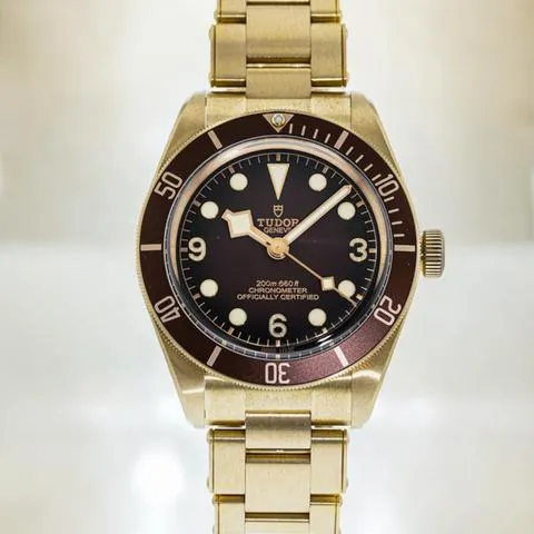 Tudor Black Bay M79012M-0001 39mm Bronze Brown