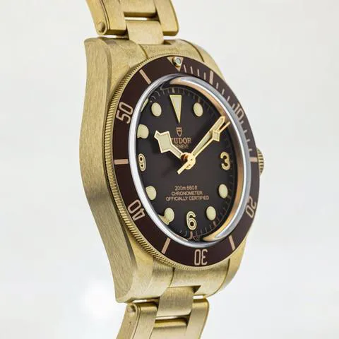 Tudor Black Bay M79012M-0001 39mm Bronze Brown 1