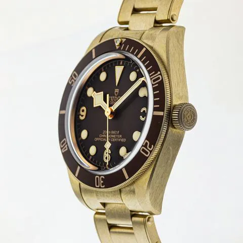 Tudor Black Bay M79012M-0001 39mm Bronze Brown 2