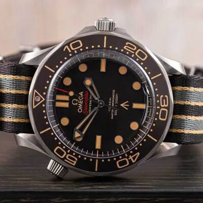 Omega Seamaster Diver 300M 210.92.42.20.01.001 42mm Titanium Brown 9