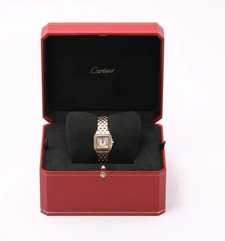 Cartier Panthère 1070 22mm Yellow gold White 1