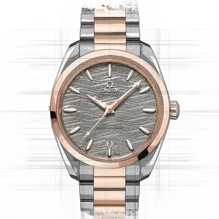 Omega Seamaster 220.20.38.20.06.001 Stainless Steel$Rose Gold