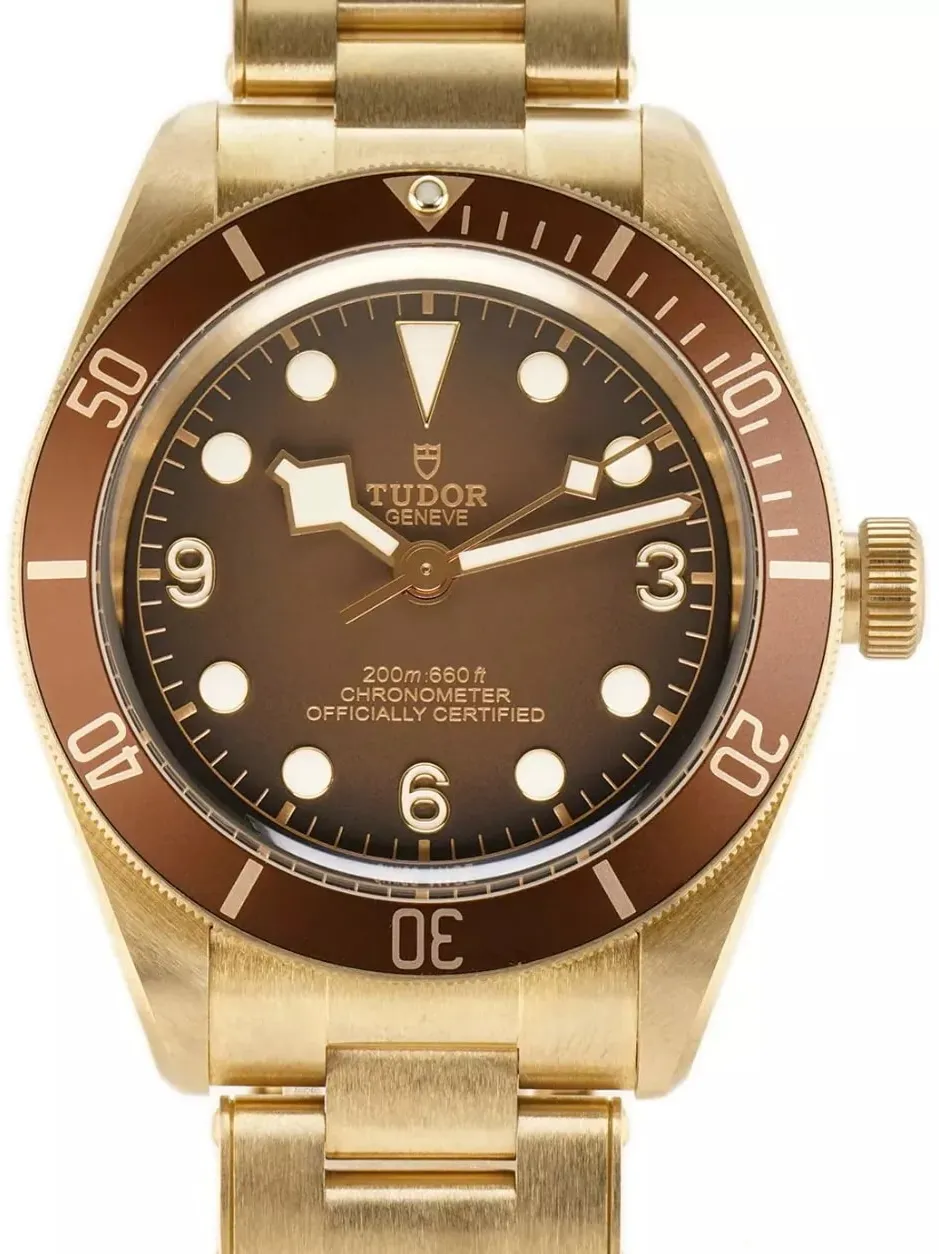 Tudor Black Bay M79012M-0001 39mm Bronze Brown