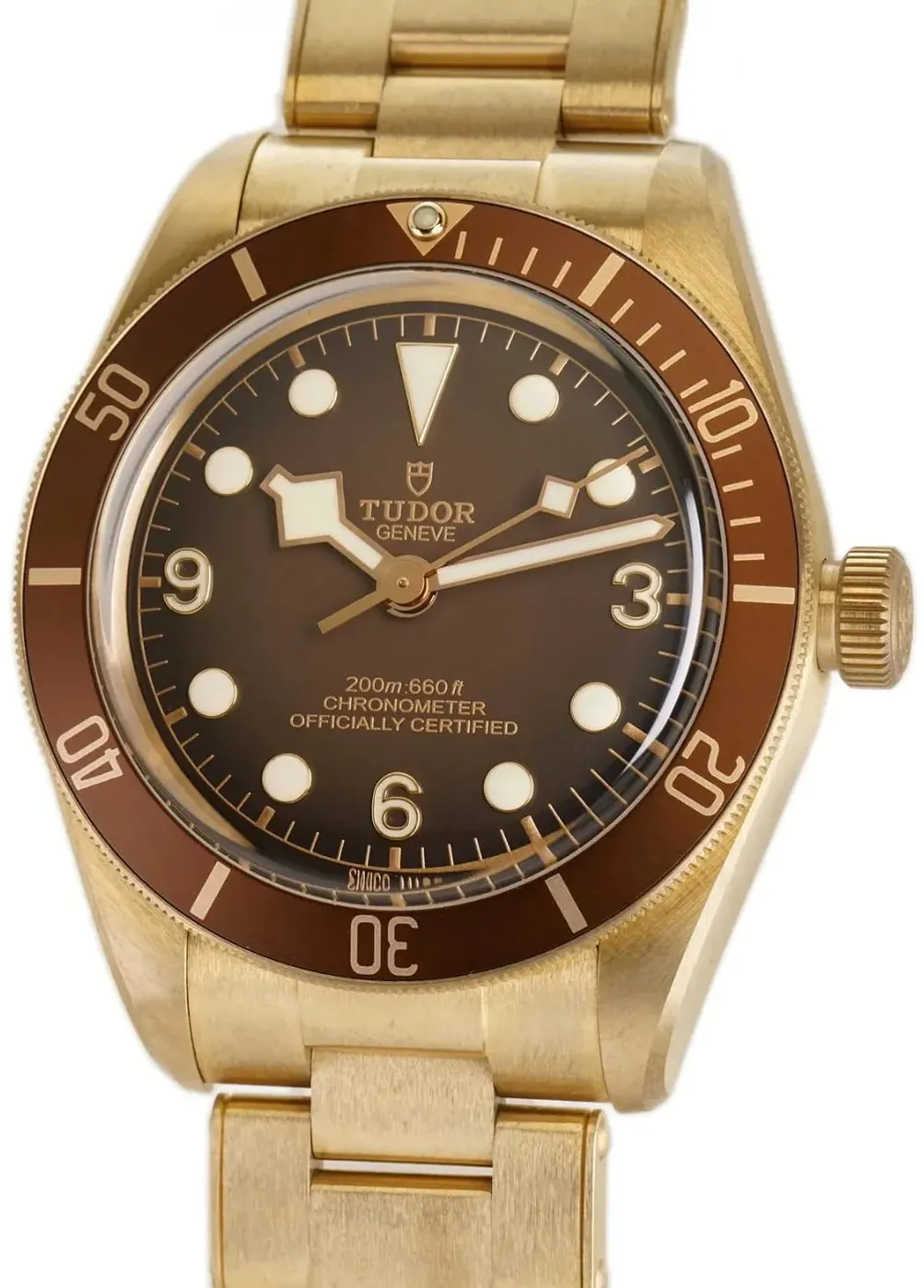 Tudor Black Bay M79012M-0001 39mm Bronze Brown 1