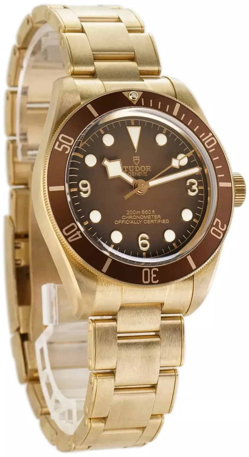 Tudor Black Bay M79012M-0001 39mm Bronze Brown 2