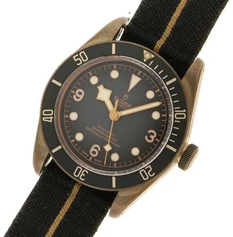 Tudor Black Bay 79250BA 43mm Bronze Gray 1