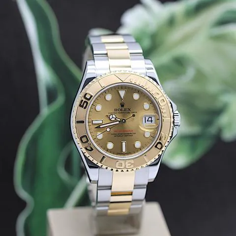 Rolex Yacht-Master 168623 35mm Yellow gold and Stainless steel Champagne 6