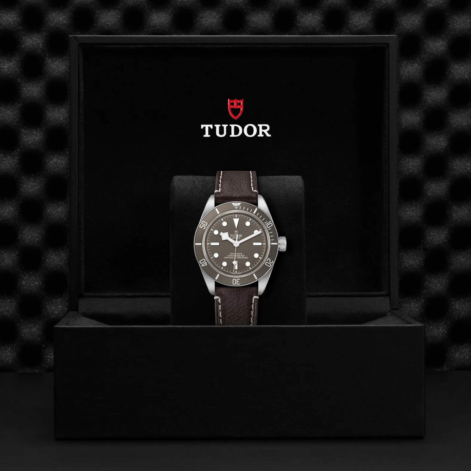 Tudor Black Bay M79010SG-0001 Beige 3