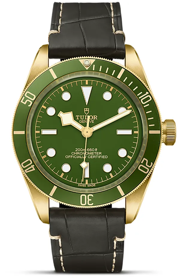 Tudor Black Bay M79018V-0001 18k yellow gold Green