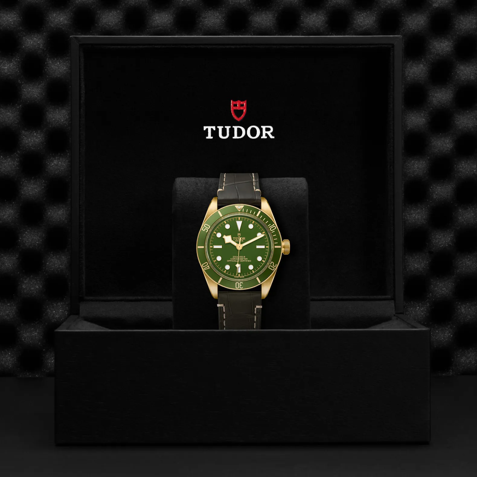 Tudor Black Bay M79018V-0001 18k yellow gold Green 3