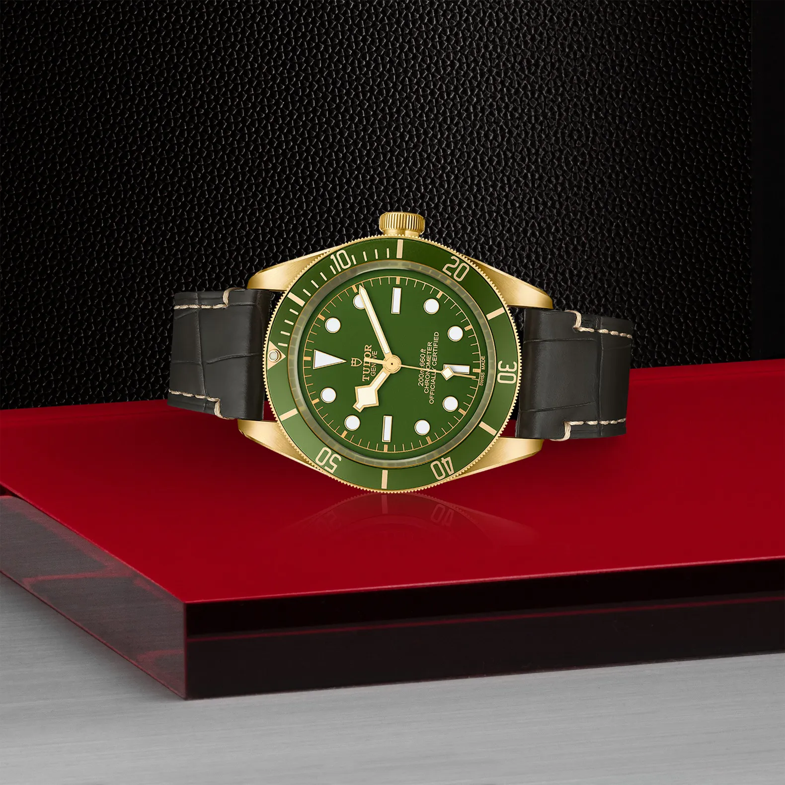 Tudor Black Bay M79018V-0001 18k yellow gold Green 4