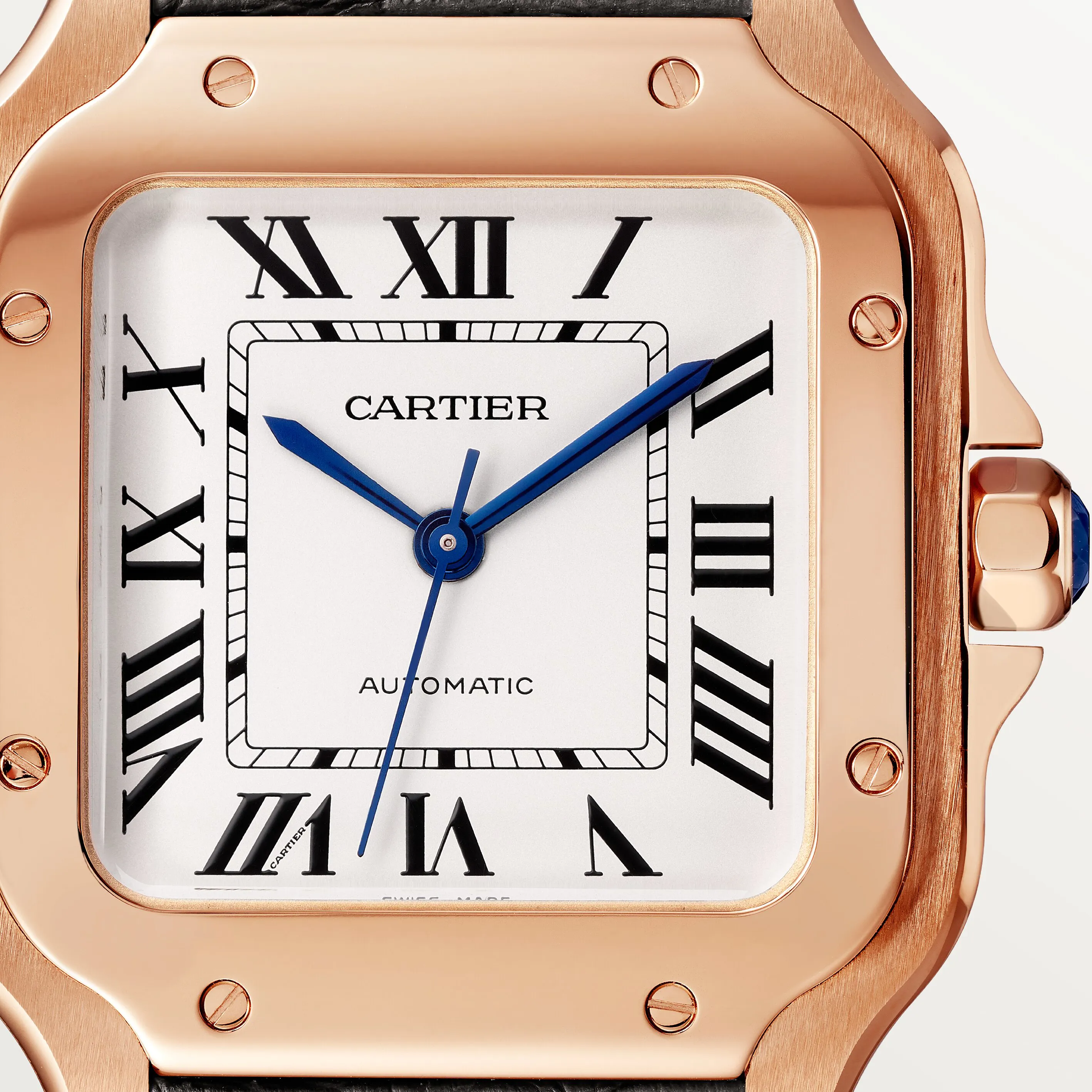 Cartier Santos WGSA0028 Yellow gold Silver 1