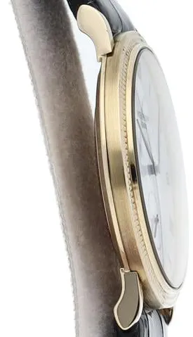 Patek Philippe Calatrava 3919J-001 33mm Yellow gold White 3