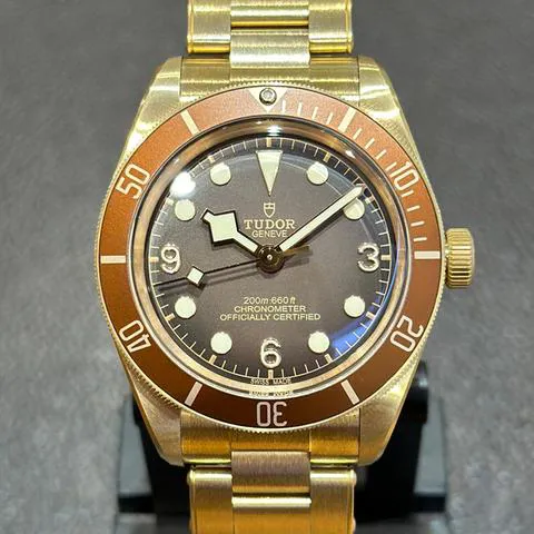 Tudor Black Bay M79012M-0001 39mm Bronze Brown