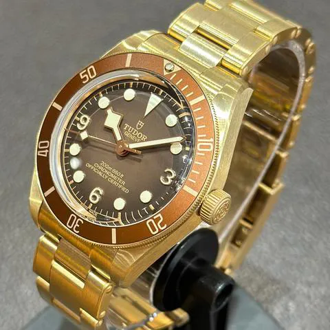 Tudor Black Bay M79012M-0001 39mm Bronze Brown 1