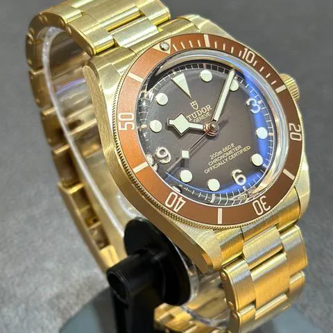 Tudor Black Bay M79012M-0001 39mm Bronze Brown 2