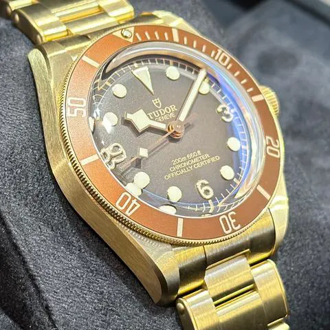 Tudor Black Bay M79012M-0001 39mm Bronze Brown 7