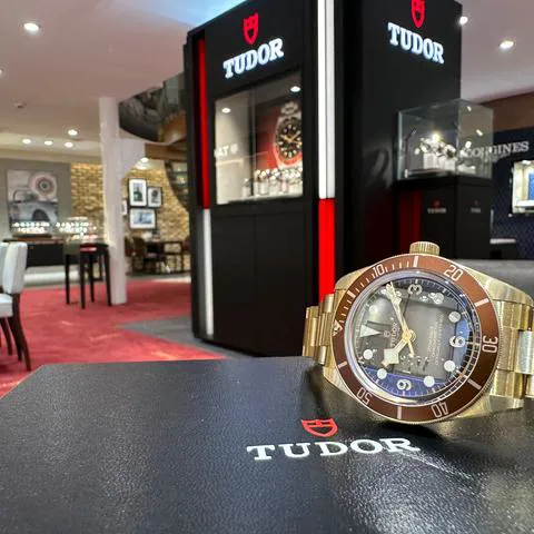 Tudor Black Bay M79012M-0001 39mm Bronze Brown 11