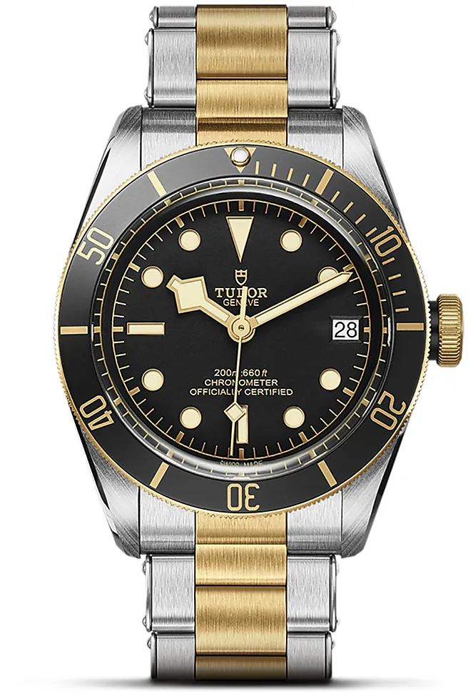 Tudor Black Bay M79733N-0008 41mm Stainless steel Black