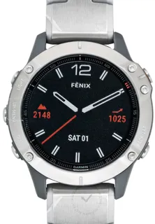 Garmin Fenix 010-02158-23 Titanium and Stainless steel Black