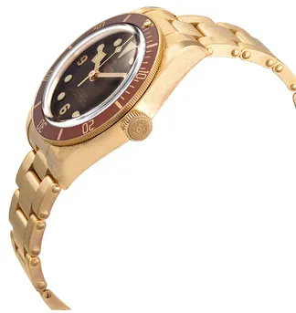 Tudor Black Bay M79012M-0001 39mm Bronze Brown 1